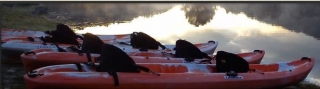 material kayak